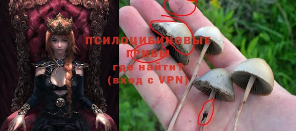 прущая мука Вязники