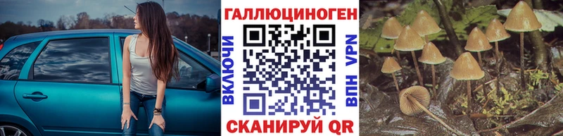 Галлюциногенные грибы Psilocybine cubensis  Первомайск 